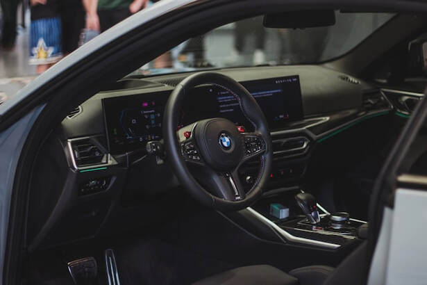 BMW File Services for Workshops Worldwide – The Smart Way to Program ECUs & EGS Without Tools