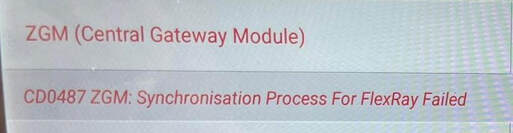 BMW ZGW DTC CD0487: Understanding & Fixing ZGM FlexRay Synchronization Issues