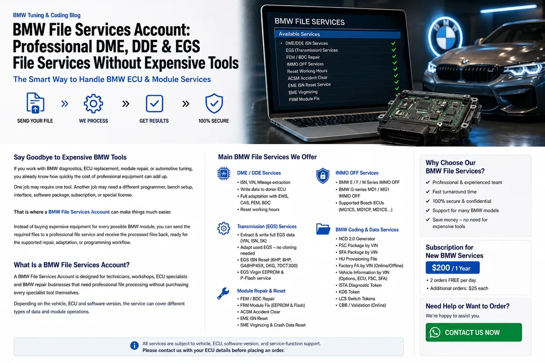 BMW File Services Account for DME DDE EGS ECU