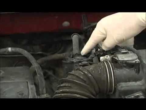 Enhancing Engine Performance: Understanding and Removing the EVAP System