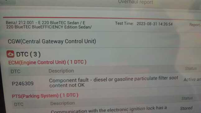 Enhancing Performance and Efficiency: Mercedes E220 W212 2016 ECU CRD3 DPF Removal + DTC P4263 Removal by Electronic Repair Portal