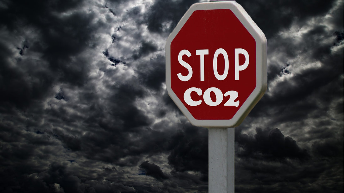 The Impact of Euro 6 Emissions Standards on Human Health A Comprehensive Analysis