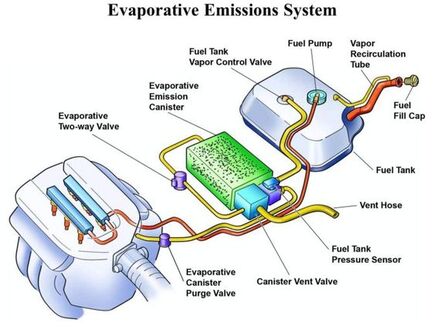 Unlocking Performance EVAP System Removal in Remapping | electronicrepairegypt.com
