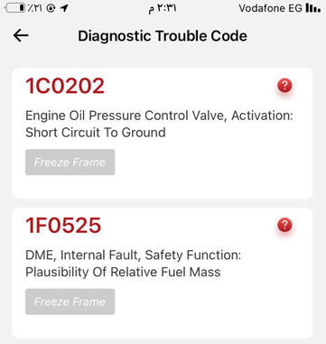 Expert Guide to BMW MEVD17.2.5 DTC 1F0525 Repair
