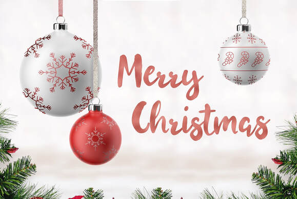 Merry Christmas from Electronic Repair Team