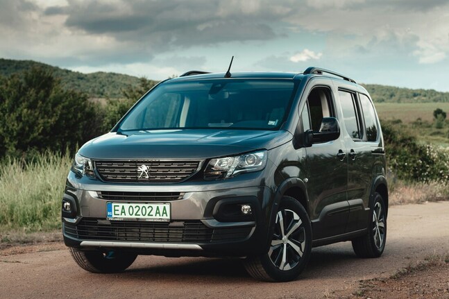 Peugeot Citroen Fault Codes: P2200, P220A2, and U029D Explained