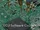 ECU Software Courses