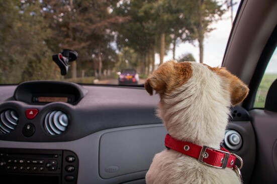 Best Car Accessories for Traveling with Kids - 2024 Essential Guide